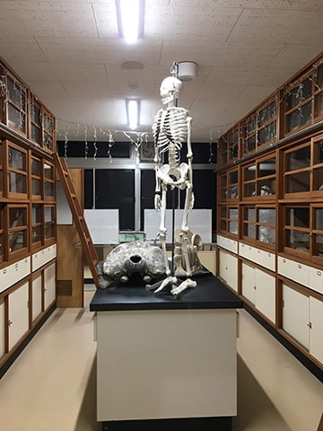 理科室の人骨模型