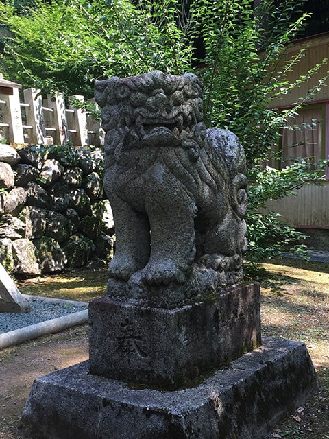 大杉八坂神社の狛犬さん